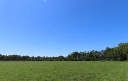 Tema Road, Hartsville, SC 29550