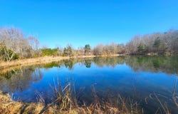 28.7 ac Bridgman Loop, Pontotoc, MS 38863