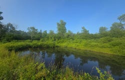 3873 Union Valley Rd, De Ruyter, NY 13052