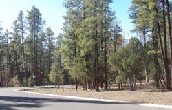 2522 Aspen Run, Pinetop, AZ 85935
