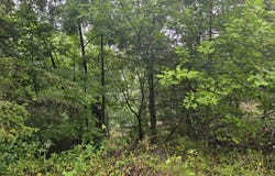 Beckley road, PRINCETON, WV 24740