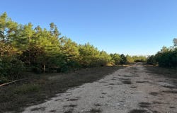 Parcel 4 Haglersville Rd, MANSFIELD, TN 38236