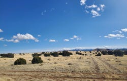 CR 5141, Concho, AZ 85924