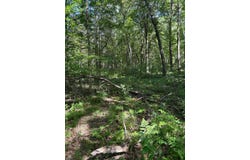 3250 W Isabella Road, Shepherd, MI 48883