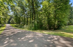 Green Hills Estates Dr Lot #14, PARIS, TN 38242