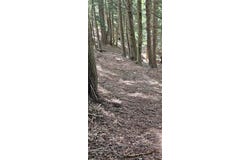 Lafayette Road, Groton, NY 13073