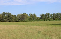PID 66842 Barnum Loop, Corrigan, TX 75939
