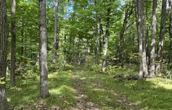 COUNTY ROAD K, Irma, WI 54442