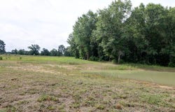618 CR 2619, Alto, TX 75925