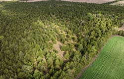 FM 198, Cooper, TX 75432