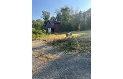 420 Blacks Ferry Road, Burkesville, KY 42717