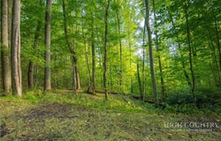 Wasatch Drive, Boone, NC 28607