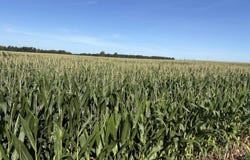 TBD 800 S 200 E, Warren, IN 46792