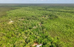 0.17 AC Tango Ln, Harold, FL 32563