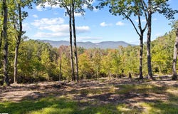 4518 Hawkins Road, Greer, SC 29651