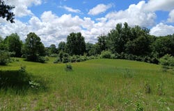 24A E Beyer Road, Fountain, MI 49410
