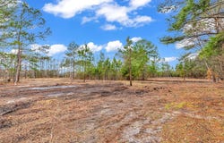 3930 Red Bluff Rd., Loris, SC 29569