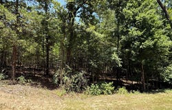 Whispering Pine Trail, Mount Vernon, TX 75457
