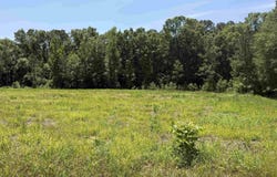 506-706 Grant 433, Sheridan, AR 72132
