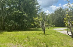 Wellborn, FL 32094