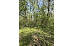 Coon Path Road, Spencer, IN 47460