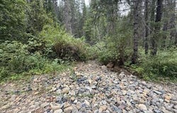 410 Gratten Flat Rd, Trinity Center, CA 96091