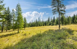 150 Eagles Crest Road, Lakeside, MT 59922