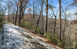151 Trout Lily Lane, Tuckasegee, NC 28783