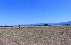Nissula Rd lot: 38, McCall, ID 83638
