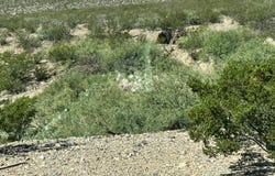 PN57397, El Paso, TX 79938
