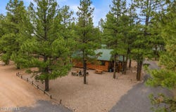 2722 HIGH PINE Loop, Overgaard, AZ 85933