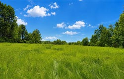 1194 Kerber Road, Ava, NY 13303