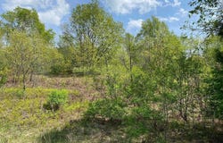 CRESTVIEW DRIVE, CADILLAC, MI 49601
