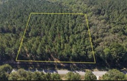 Perkins Road, Laurel Hill, FL 32567