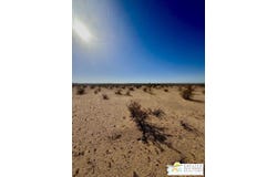 Los Olivos Ave, TWENTY-NINE PALMS, CA 92277