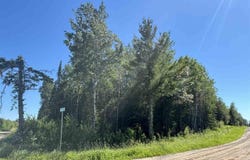 Co Rd 75, Gheen, MN 55771