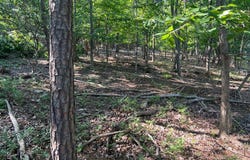 2608 JACKSON Drive, HAYMARKET, VA 20169