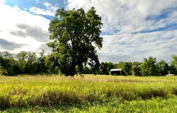 114 Enfield Falls, Parcel #1, Ithaca, NY 14850