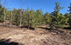 920 County Road 1226, Quitman, TX 75783