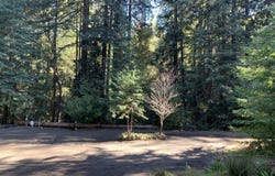 Croy RD, Morgan Hill, CA 95037