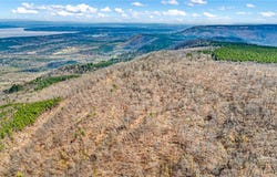 40 Acres, Dardanelle, AR 72834