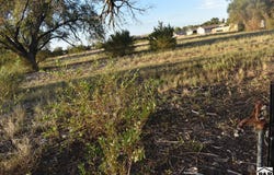 Ash St, Rocky Ford, CO 81067