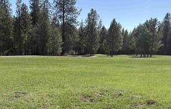 200 Brook Dr, Elk, WA 99009