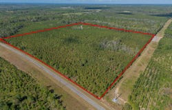 Tract 2 Kinnett Road, Jacksonville, GA 31544