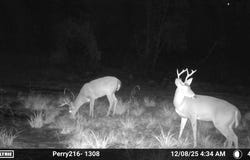 -- US Hwy 98, Beaumont, MS 39423