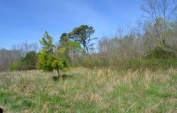 87+/-ac Boles Rd, Hilham, TN 38568