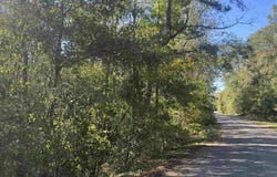 003 Van Hoosen Rd, Flomaton, AL 36441