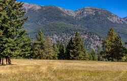 NHN Blaine View Lane, Kalispell, MT 59901