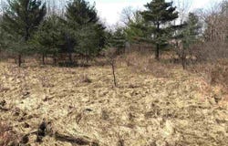 291 TRACK IRON Trail, Gladwin, MI 48624