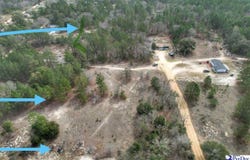 Ozelma Drive, Dillon, SC 29536